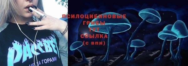 spice Алзамай