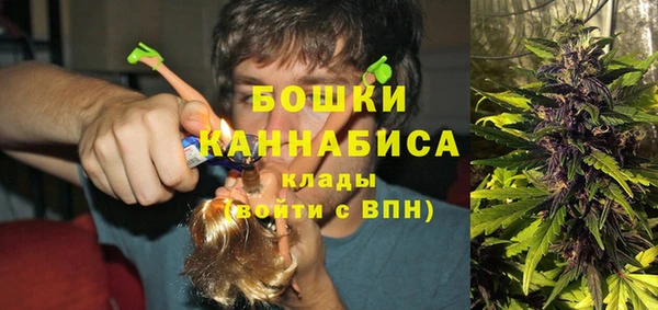 spice Алзамай