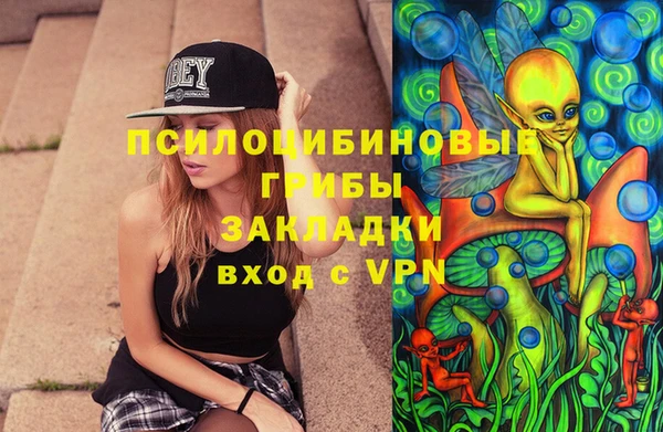 spice Алзамай