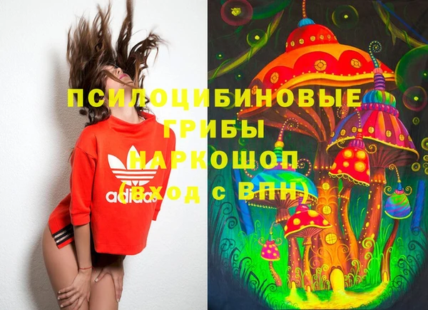 кокс Алексин