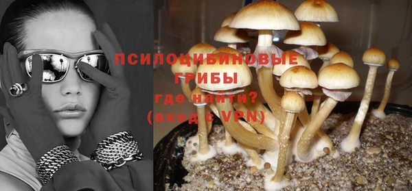 кокс Алексин