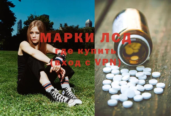 шишки Абинск