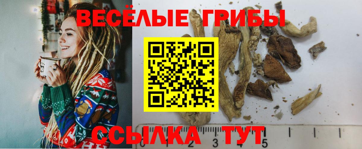 Псилоцибиновые грибы GOLDEN TEACHER  Вход с VPN  Искитим  хочу   Псилоцибиновые грибы GOLDEN TEACHER 