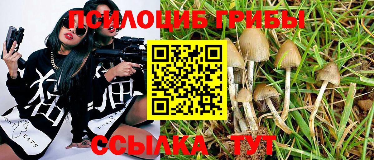 Галлюциногенные грибы Cubensis Искитим